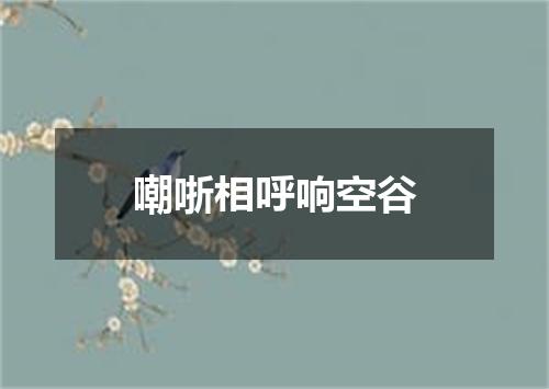 嘲哳相呼响空谷