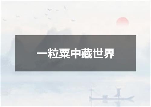 一粒粟中藏世界