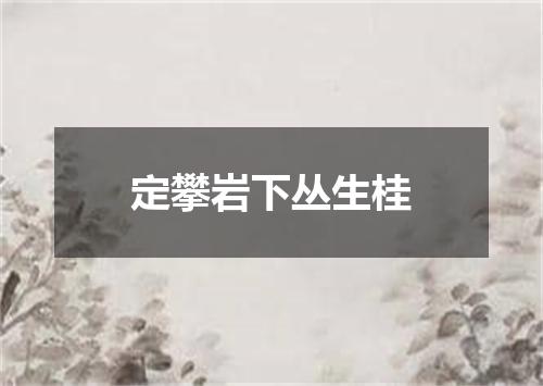 定攀岩下丛生桂