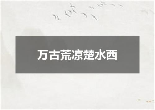 万古荒凉楚水西
