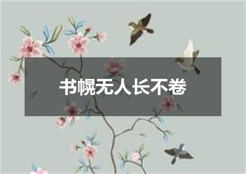 书幌无人长不卷