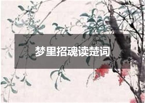 梦里招魂读楚词