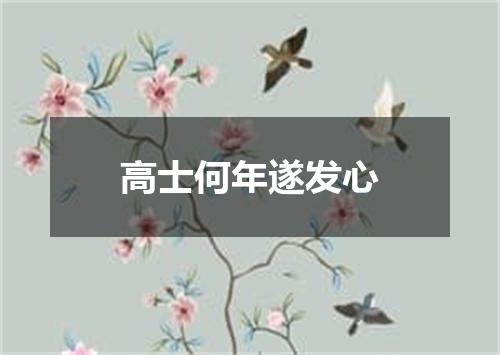 高士何年遂发心
