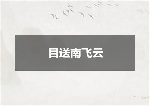 目送南飞云