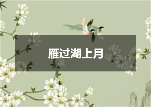 雁过湖上月