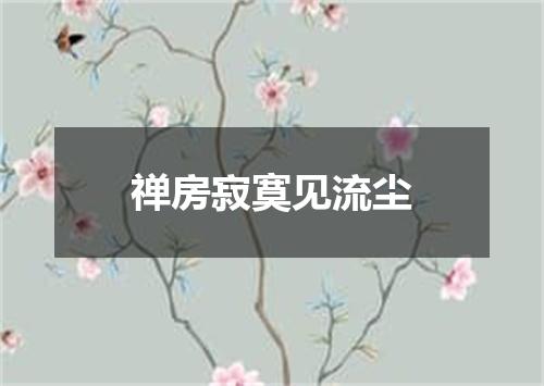 禅房寂寞见流尘