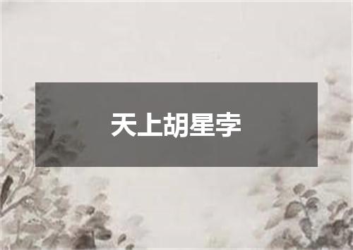 天上胡星孛
