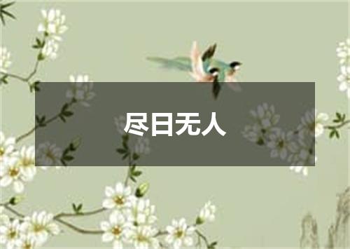尽日无人
