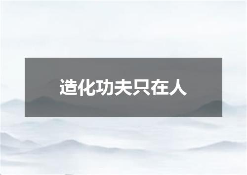 造化功夫只在人