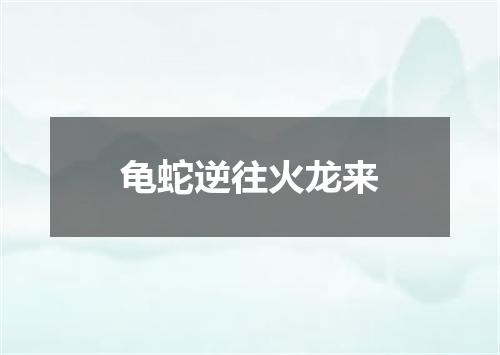 龟蛇逆往火龙来
