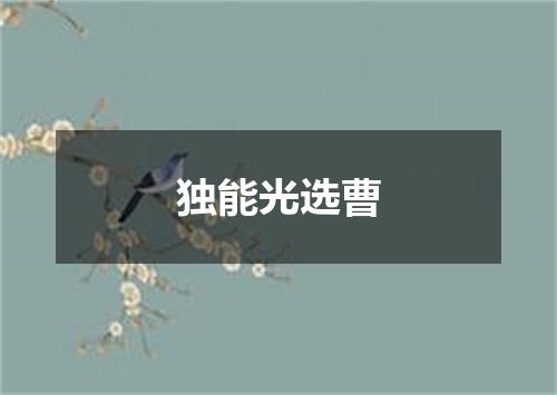 独能光选曹
