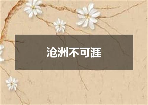 沧洲不可涯