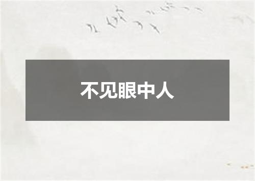 不见眼中人