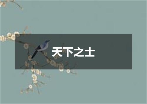 天下之士