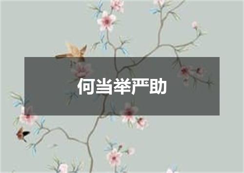 何当举严助