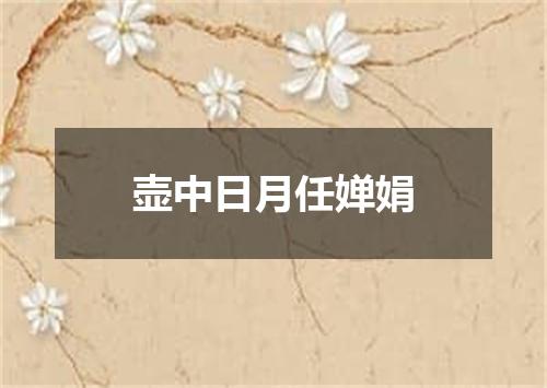 壶中日月任婵娟