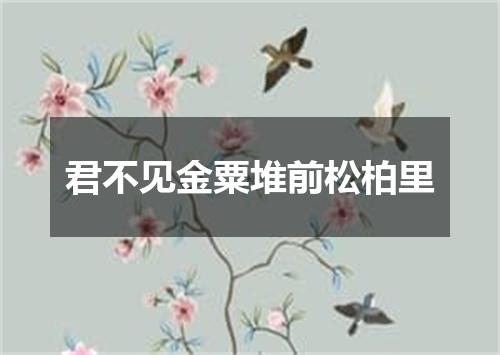 君不见金粟堆前松柏里