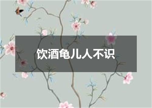 饮酒龟儿人不识