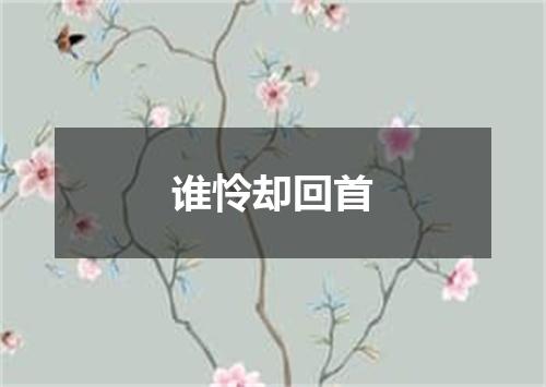谁怜却回首