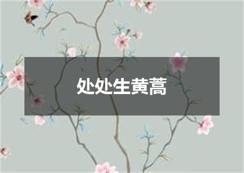 处处生黄蒿