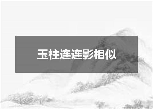 玉柱连连影相似