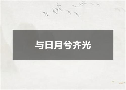 与日月兮齐光
