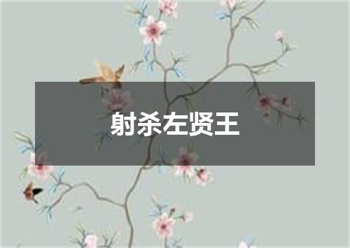 射杀左贤王