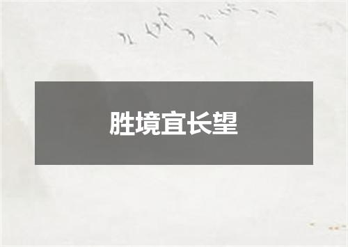 胜境宜长望