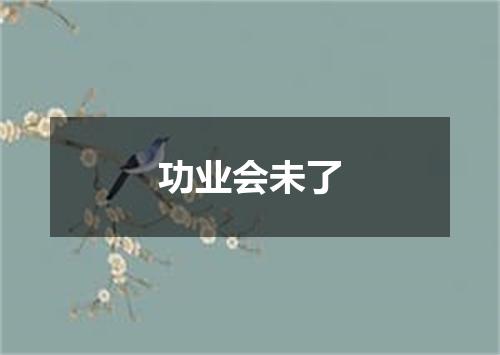 功业会未了