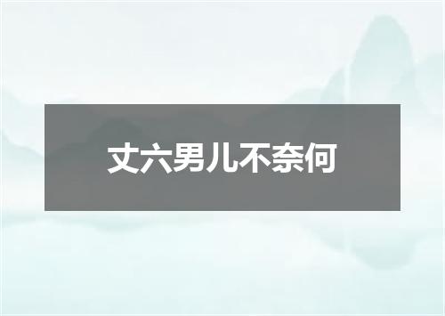 丈六男儿不奈何