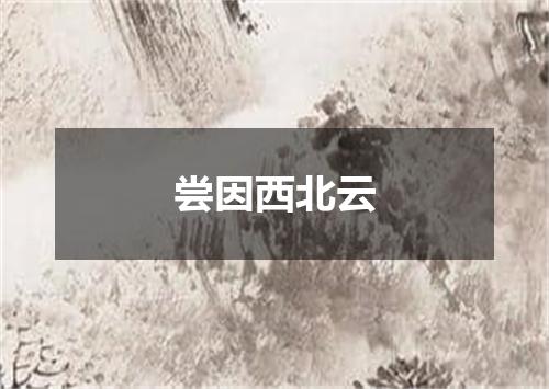 尝因西北云