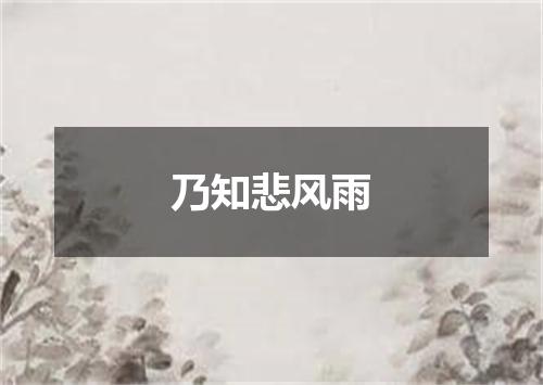 乃知悲风雨