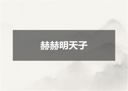 赫赫明天子