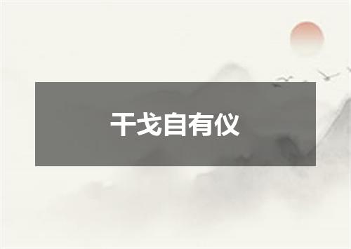 干戈自有仪