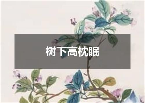 树下高枕眠