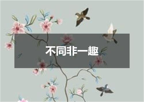 不同非一趣