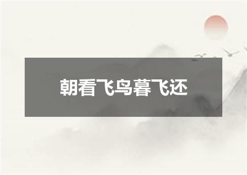 朝看飞鸟暮飞还