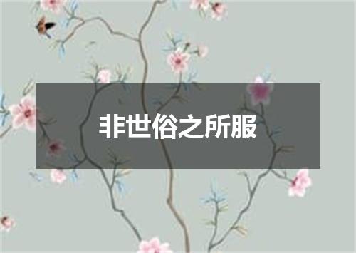 非世俗之所服