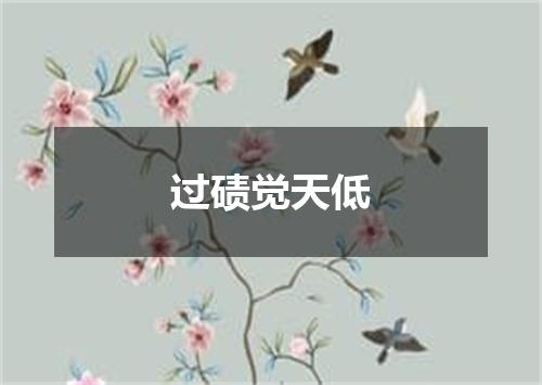 过碛觉天低