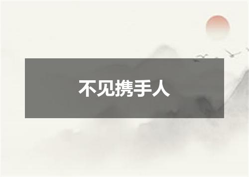 不见携手人