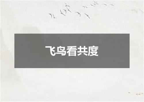 飞鸟看共度