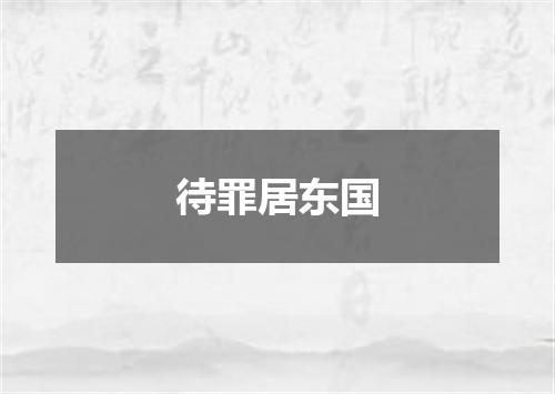 待罪居东国