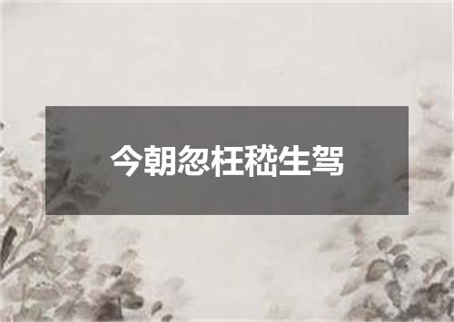 今朝忽枉嵇生驾