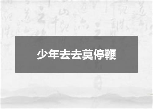 少年去去莫停鞭