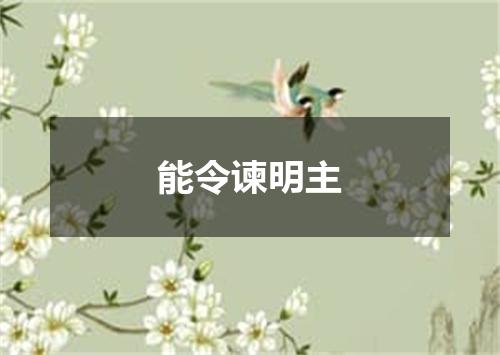 能令谏明主