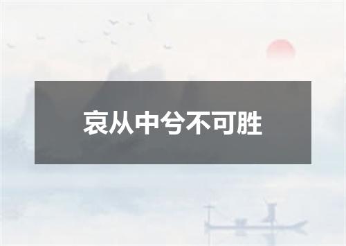 哀从中兮不可胜