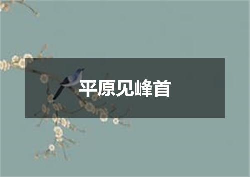 平原见峰首