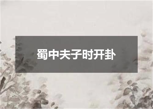 蜀中夫子时开卦