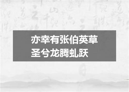 亦幸有张伯英草圣兮龙腾虬跃