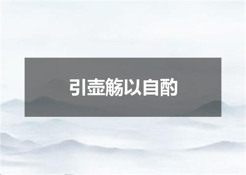 引壶觞以自酌
